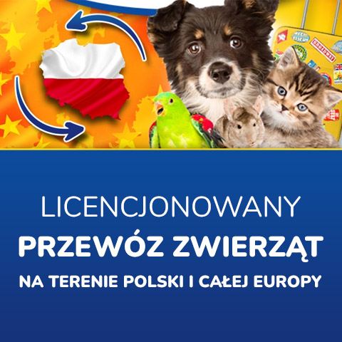 Transport zwierząt Polska, Europa